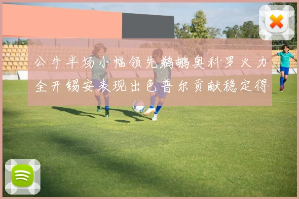 公牛半场小幅领先鹈鹕奥科罗火力全开锡安表现出色普尔贡献稳定得分