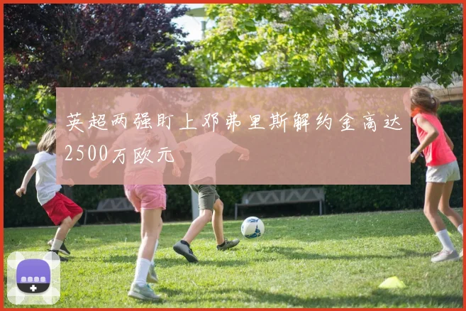 英超两强盯上邓弗里斯解约金高达2500万欧元